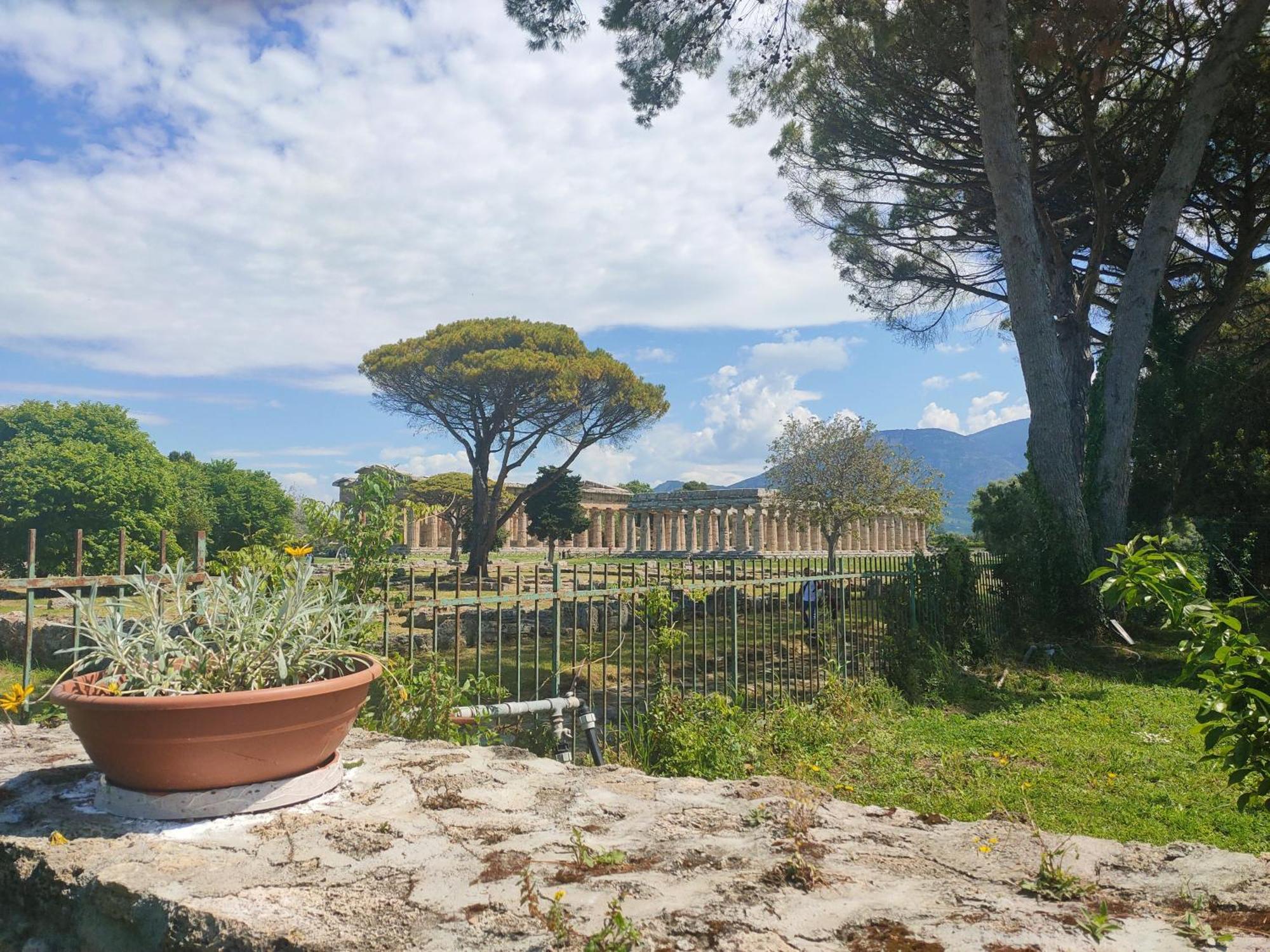 Апартаменты Il Giardino Di Athena 1 Пестум Номер фото